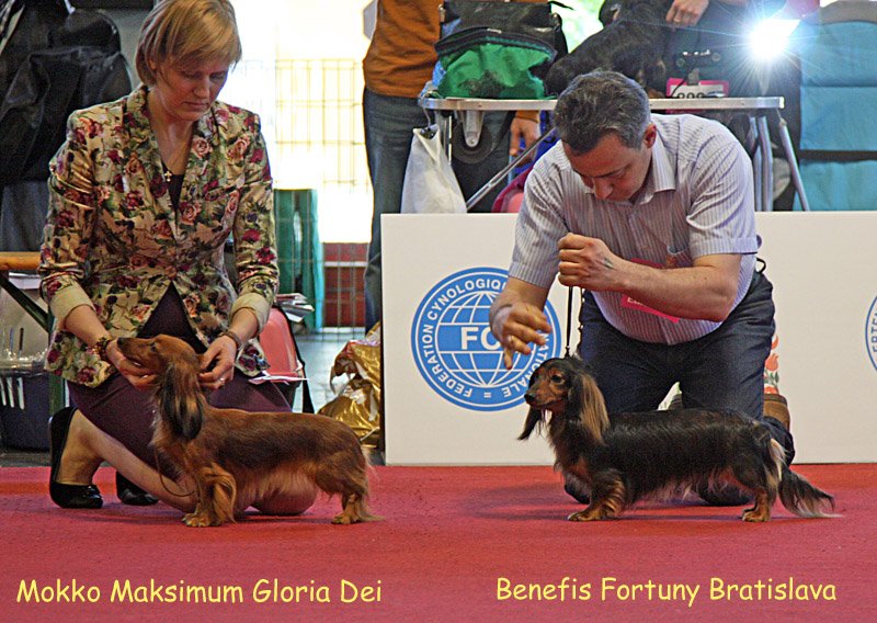 otwarta Mokko Maksimum Gloria Dei i Benefis Fortuny Bratislava 2 p m
