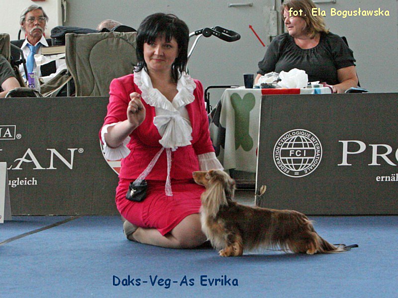Evrika ok 800x600 p