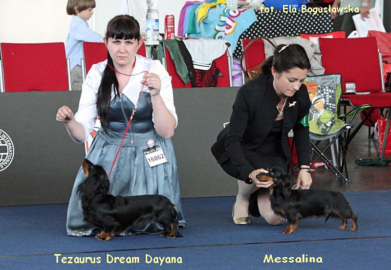 Klasa championek ok 800x600 p