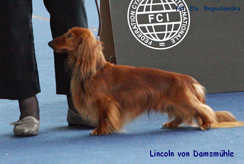 Lincoln von Damsmuhle ok p 800x600