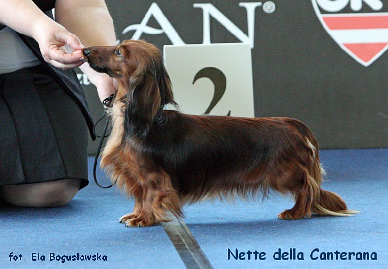 Nette della Canterana 3 ok 800x600 p