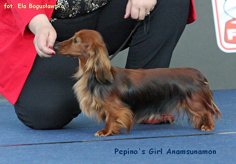 Pepinos Girl Anamsunamon 2 ok 800x600 