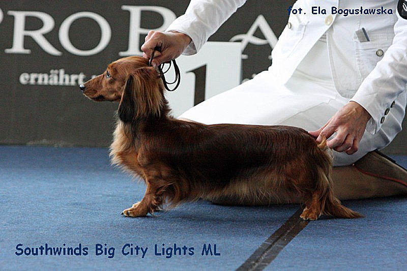 Southwinds Big City Lights Ml 4 ok 800x600 p