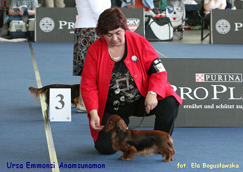 Ursa Emmonsi Anamsunamon ok p 800x600