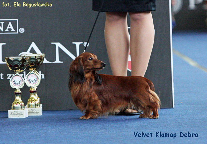 Velvet Klamap Debra p 800x600 