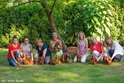 Jamnicze baby shower