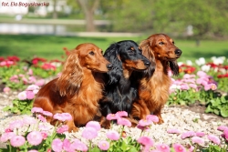 Spotkanie z kołobrzeską rodziną