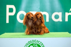 El-Maraya i Emiko na wystawie w Poznaniu