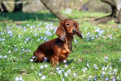 Wczesnowiosenny spacer w Parku Skaryszewskim