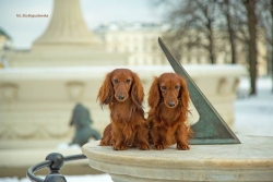 Zimowy spacer Marusi i Emiko