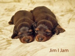 Maluchy Basima i Ursy już oglądają świat