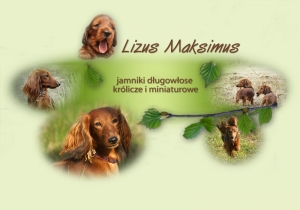 Jamniki