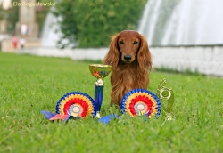 Wystawy w Rumunii i na Węgrzech