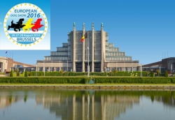 Europejska Wystawa Ps&oacute;w Rasowych, Bruksela 2016