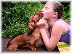 Pozdrowienia z Niemiec