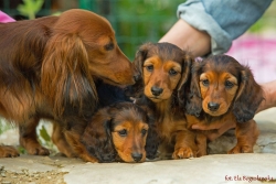 Odwiedziny u wnuczek Basima w Estonii