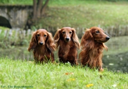 Jesienny spacer w Nieborowie