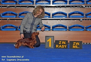 Wystawa w Rzeszowie