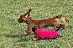 Pierwsze wieści z Czech