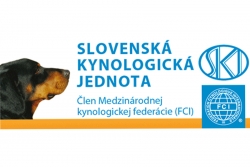 Wystawa w Wielkiej Idzie