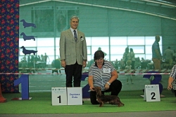 Jamnicza klub&oacute;wka i wystawa międzynarodowa w Krakowie