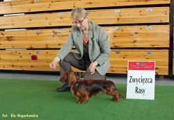 Debiut Shergola w klasie młodzieży