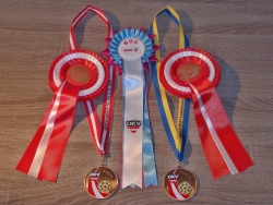 Damai Zwyciężczynią Europy Środkowo-Wschodniej