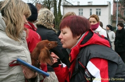 Aluzja na placu szkoleniowym