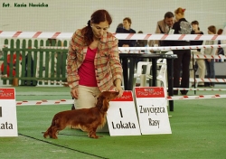 Wystawa w Nowym Dworze