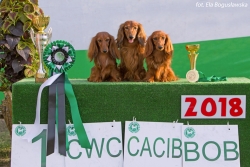 Sukcesy na wystawie w Białymstoku