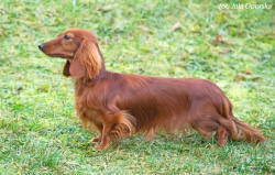 Debiut Emiko w klasie młodzieży