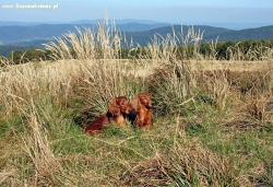 Wakacje w g&oacute;rach