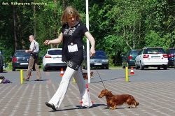 Klub&oacute;wka w Antoninku