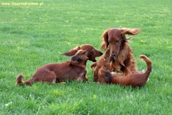 Rodzinny spacer w Kazimierzu