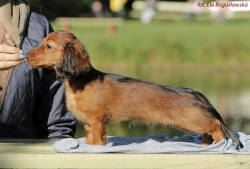 Spacer z Ekają, c&oacute;reczką Basima i Cake