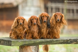 Spacer w skansenie w Maurzycach