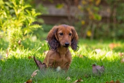 Wieści od Fadilki i nowe fotki Faraja