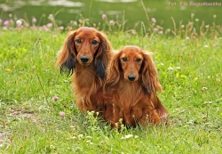 Spacer na Kępie Potockiej