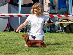 Aluzja w Bratysławie