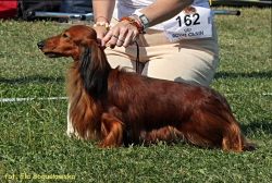 Sukces ojca mojej Shangri-La