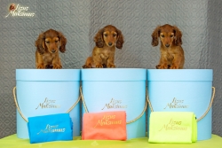 Miot G ma już wyprawkę