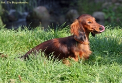 Rodzinne spotkania w Warszawie