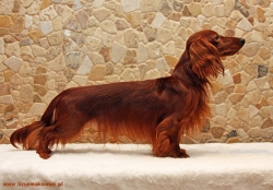 Nowe zdjęcie Basima