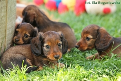 Sesja zdjęciowa dzieci Basima I Silje