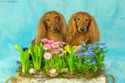 Wesoła sesja wielkanocna